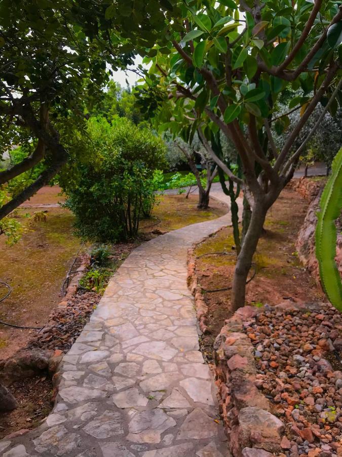 Villa La Torreta Ref 056 カステリョン・デ・ラ・プラナ エクステリア 写真