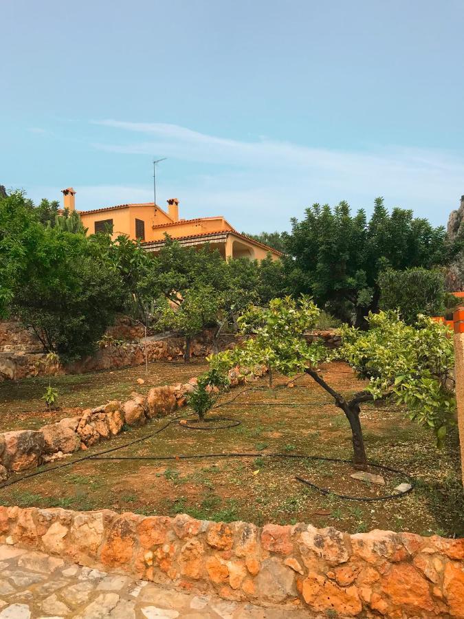 Villa La Torreta Ref 056 カステリョン・デ・ラ・プラナ エクステリア 写真