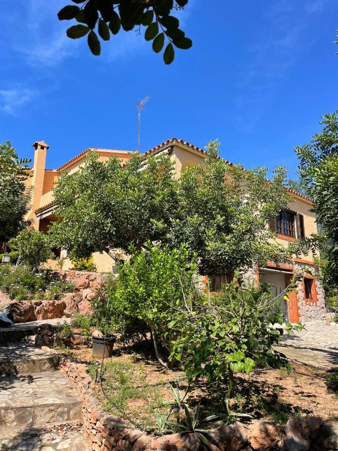 Villa La Torreta Ref 056 カステリョン・デ・ラ・プラナ エクステリア 写真