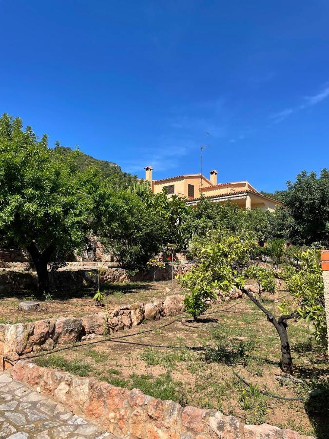 Villa La Torreta Ref 056 カステリョン・デ・ラ・プラナ エクステリア 写真